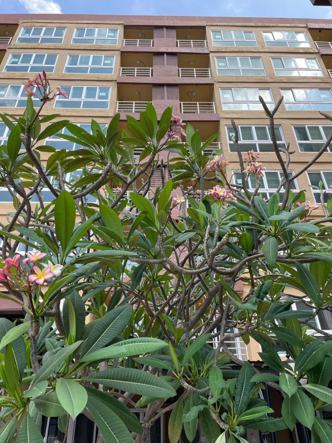 H2Do Hotel Ban Khlong Sanam Phli Dış mekan fotoğraf